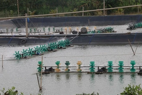 En alza producción acuícola de la provincia vietnamita de Tien Giang 