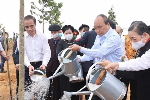 Primer ministro de Vietnam lanza campaña de plantación de árboles en ocasión del Tet