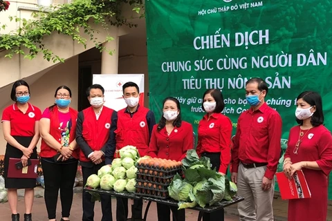 Cruz Roja de Vietnam une esfuerzos para apoyar a agricultores afectados por COVID-19 