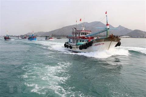 Vietnam trabaja por levantar la tarjeta amarilla contra la pesca 