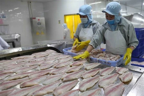 Aumentan exportaciones de productos agrícolas, silvícolas y acuícolas de Vietnam