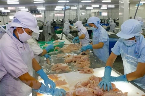 Casi 700 empresas pesqueras vietnamitas cumplen estándares de exportación a Taiwán