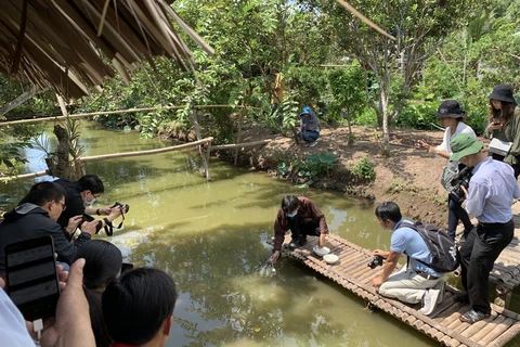 Zona sureste de Vietnam se convertirá en destino ecológico después del COVID-19 