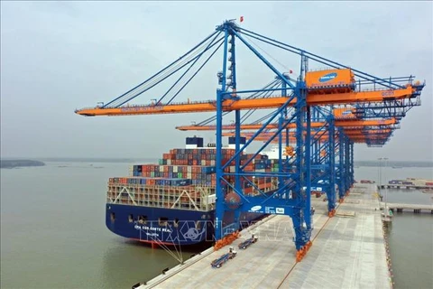 Fuerte aumento de carga de contenedores a través de puertos de Ba Ria-Vung Tau 
