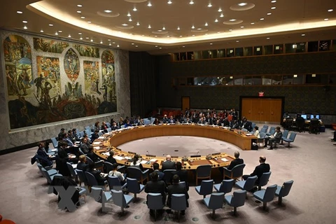 Vietnam e India dialogan sobre cuestiones del Consejo de Seguridad de la ONU
