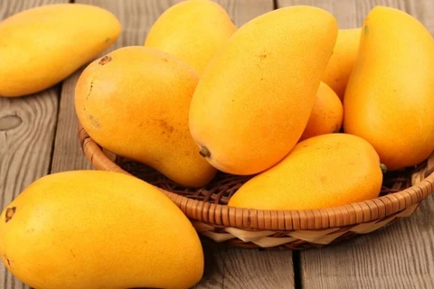 Aumenta precio del mango de Vietnam exportado a Estados Unidos