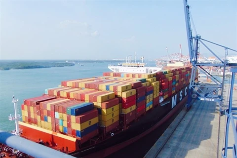 Puerto de provincia vietnamita recibe al mayor buque portacontenedores 