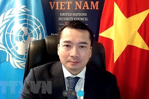 Vietnam apoya solución integral para crisis libia