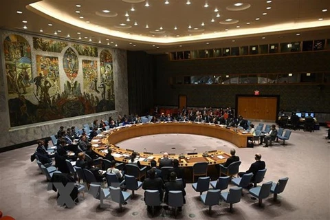 Vietnam asumirá en abril presidencia del Consejo de Seguridad de ONU