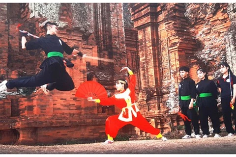 Proponen solicitar reconocimiento de artes marciales tradicionales vietnamitas como patrimonio mundial