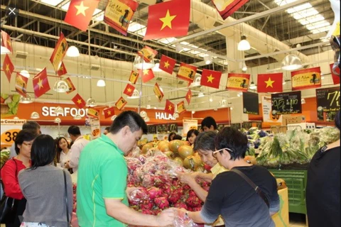 Productos vietnamitas aspiran a ingresar al mercado electrónico de Singapur