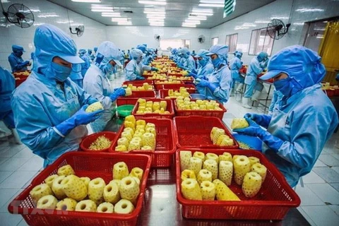 Crecen exportaciones de frutas y verduras vietnamitas en el primer trimestre de 2021