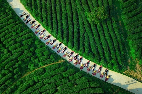 Provincia vietnamita de Cao Bang, con gran potencialidad de turismo agrícola 