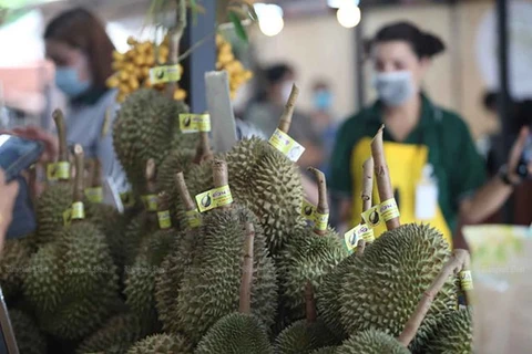 Surge una competición en Asia por ser principal productor mundial de durian