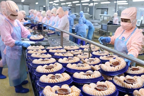 En alza exportación de camarones de delta de río Mekong en Vietnam