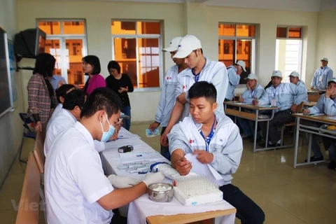 Extienden estadía de trabajadores vietnamitas en Corea del Sur