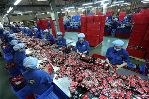 Resalta Oxford Economics papel de Vietnam en cadenas de suministro global