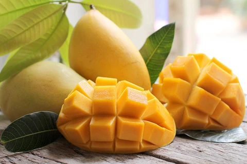 Vietnam planea alcanzar 650 millones de dólares por exportaciones de mangos