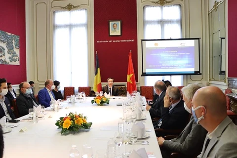 Empresas de Bélgica buscar aumentar inversiones en Vietnam