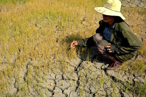 Promueven igualdad de género en políticas de respuesta al cambio climático en Vietnam