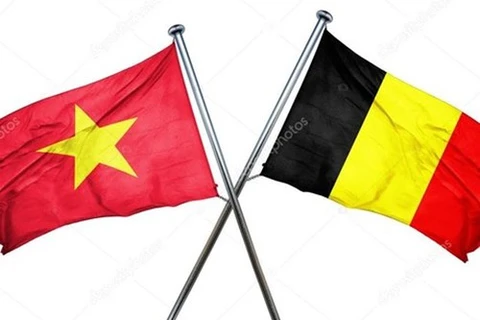 Bélgica y Vietnam fomentan cooperación en diversos aspectos