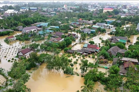 Pronostican situación estable de tifones en Vietnam este año 