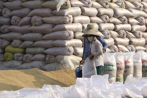 Aumentan exportaciones agrosilvícolas y acuícolas de Vietnam