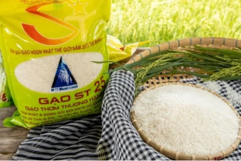 Buscan proteger marca de arroz vietnamita en mercado mundial
