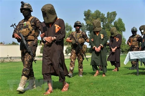 Vietnam respalda investigaciones de ONU sobre crímenes del Estado Islámico en Iraq