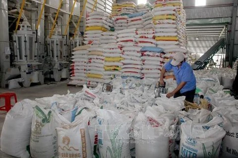 Registra Vietnam ingresos multimillonarios por exportaciones de arroz entre enero y abril