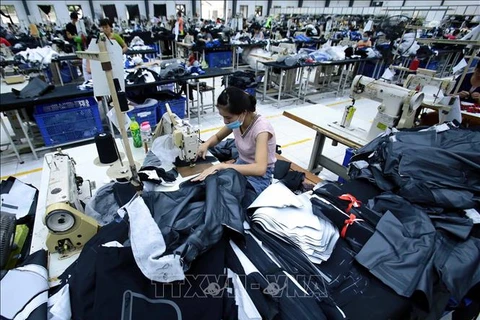 Aconsejan a empresas vietnamitas adoptar proactividad en exportaciones a la UEE