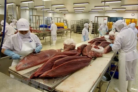 Fuerte incremento de exportaciones de atún de Vietnam