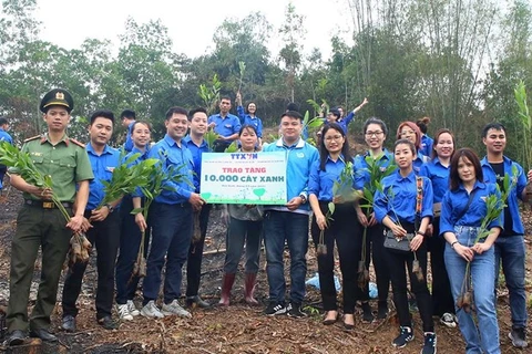 Publican Informe especial sobre actividades de jóvenes vietnamitas por el cambio climático