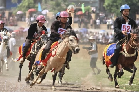 Carrera de caballos Bac Ha nombrada Patrimonio cultural intangible de Vietnam