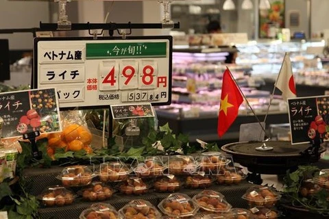 Presentan a Japón productos agrícolas destacados de Vietnam 