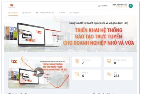 Lanzarán en línea programa de la OIT para apoyar a empresas vietnamitas