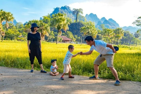 Celebrarán actividades culturales en ocasión del Día de la Familia de Vietnam