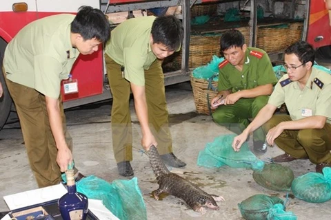Persiste complejidad del tráfico de vida silvestre en Vietnam 
