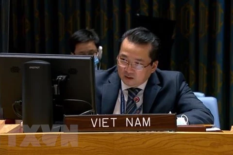 Vietnam apoya la salida de combatientes extranjeros y mercenarios de Libia