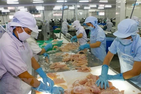 Exportaciones de productos acuícolas de Vietnam superan los cuatro mil millones de dólares