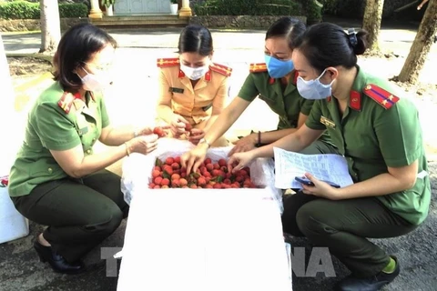 Provincia vietnamita promueve consumo de lichi doméstico
