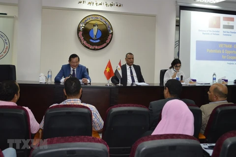 Vietnam y Egipto promueven cooperación en comercio y turismo