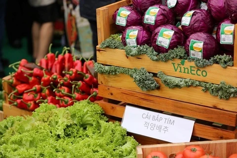 Celebran Semana de Productos Agrícolas de Vietnam 