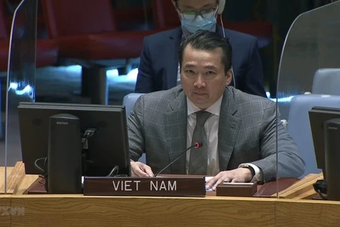 Insta Vietnam a estabilizar situación en la República Democrática del Congo
