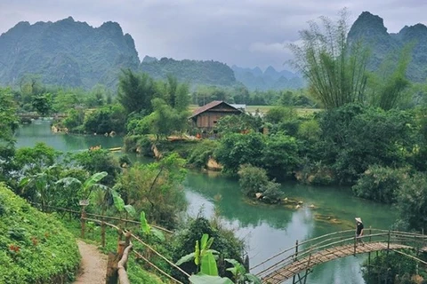 Aumenta número de turistas a provincia vietnamita en primeros seis meses del año