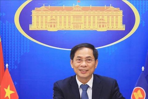 Diplomacia vietnamita debe ceñirse a política exterior del XIII Congreso partidista, afirmó canciller