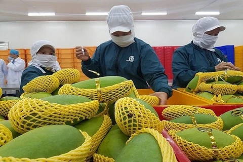 Exportaciones hortofrutícolas de Vietnam superarán los cuatro mil millones de dólares