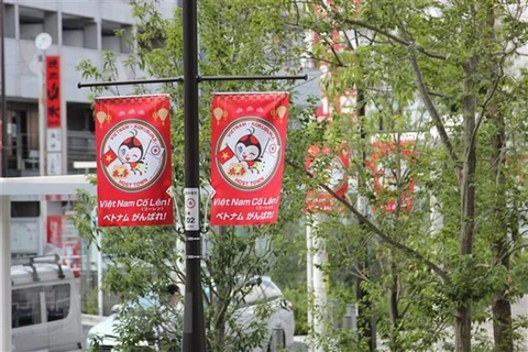 Ciudad japonesa promueve imagenes de Vietnam en vísperas de Juegos Paralímpicos 