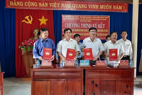 Promueven en provincia vietnamita vínculos productivos entre minorías étnicas