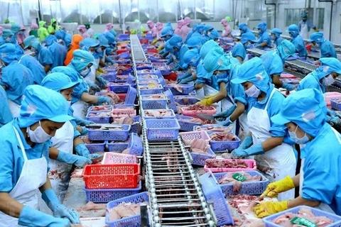 Vietnam por convertirse en centro mundial de procesamiento de mariscos